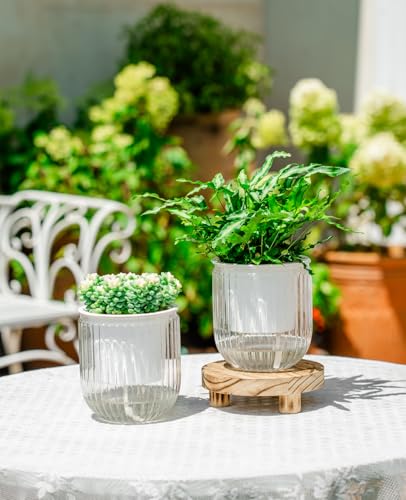 Melphoe Self Watering Pots for Indoor Plants Planter, 4.7 Inch 2 Pack Planters Self Watering Plant Pots for Flower, Houseplants, Succulent, African Violets and Cactus with Drainage - color: White, size: 4.7''