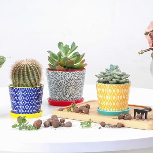 Selamica Ceramic Succulent Pots, 3.4 Inch Small Pots for Plants with Drainage Holes and Saucers, Succulent Planters for Indoor Plants, Cactus, Home Decor, Set of 4, Assorted Colors - color: Assorted Colors, size: 3.4 Inch, Set of 4