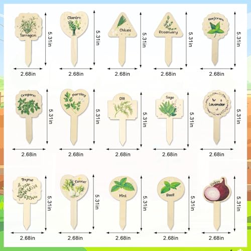 15 Pcs Wooden Herb Garden Markers - Aesthetic Botanical Plant Labels for Indoor Kitchen Gardens - T-Type Herb Stakes for Basil, Mint, Lavender, Rosemary - Culinary Herb Signs for Potted Plants - color: Seed