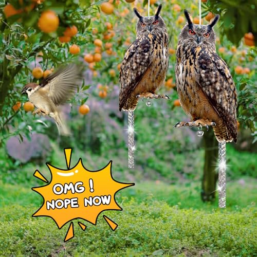 Owls to Keep Birds Away: 2Pack Fake Owl with Reflective Tape for Vineyard Garden Patio Pool, Reflective Hanging Decoration to Keep Birds Pigeon from Windows Tree Orchard - color: Grey--2pcs