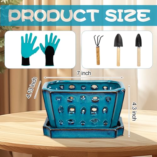Teenyyou 7 Inch Ceramic Orchid Pot with Holes and Saucer Repotting,Blue - color: Blue