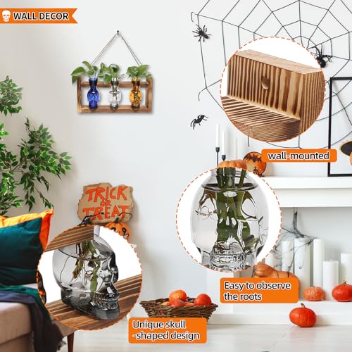 Plant Terrarium Propagation Stations Skull Planter Vase Skulls Decor - color: Color-03