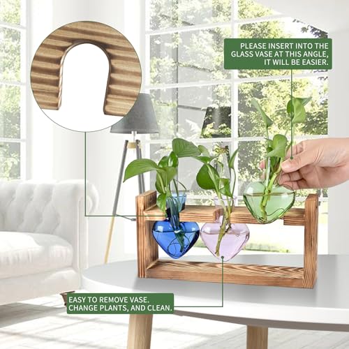 Plant Terrarium Propagation Stations Hydroponics - color: Mixed Color