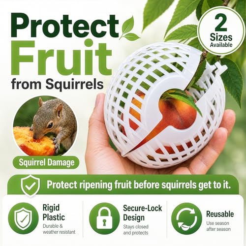 Fruit Protection Cages for Peaches and More | 2026 Improved Secure-Lock Design | Small 4x5 Inch | 24 Pack | Squirrel Resistant | Reusable Heavy-Duty Plastic | Made in USA - size: Small (4 x 5)