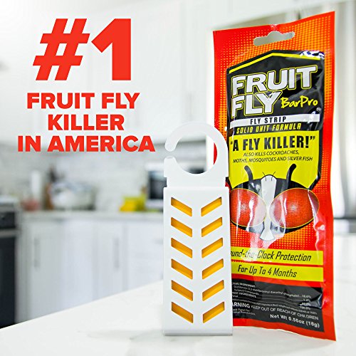 Fruit Fly BarPro – Vapor-Activated Insect Control Strip – Better Than Fruit Fly Traps – Kills Flies, Gnats, Roaches, Mosquitoes, and More – Odorless, 4 Month Protection - size: 5 Pack
