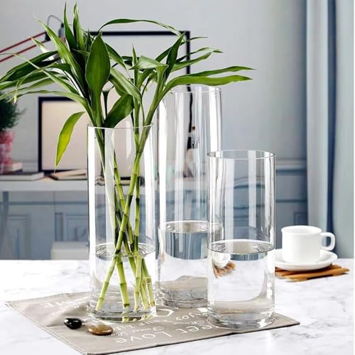 24 Pack Glass Cylinder Vases 4,6,8,10 Inch Tall Clear Flower Vase Hurricane Floating Candle Holder for Table Centerpiece Wedding Home Decor - size: 24 Pack (4,6,8,10 Inch )
