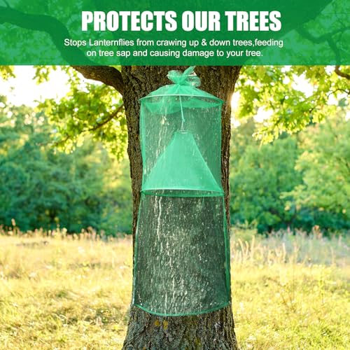 Qualirey 8 Pack Spotted Lanternfly Trap Lanternfly Killer for Tree,Green - color: Green