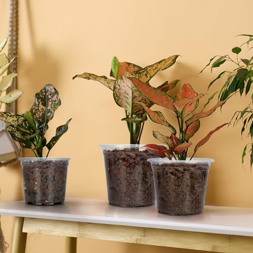 15 Pack Clear Nursery Pots with Drainage Holes, 7 Inch Seed Starting Plastic Plant Pots, Transparent Variety Pack Flexible Garden Pot for Outdoor Indoor (Clear, 7 Inch) - size: 7 Inch