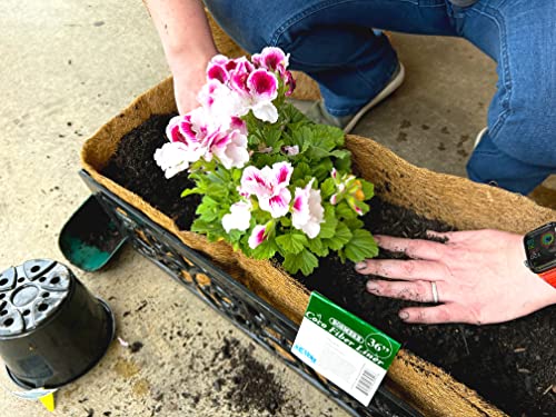 Bosmere Pre-Formed Coco Liner with Soil Moist – 36-Inch Replacement Liner for Window Boxes & Hanging Baskets - color: Brown, size: 36 Inch