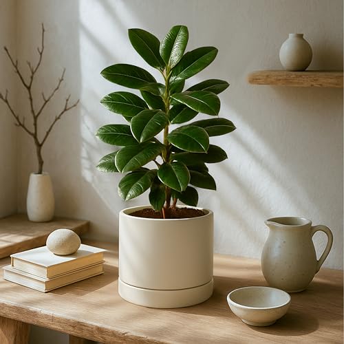 Phoenix Vine 8 Inch Planter Pot with Drainage Hole & Saucer, Deep Water Catch Tray, Straight Cylindrical Round Pot for Plants, Oatmeal, Pack of 1, 23-E-T-1 - color: Oatmeal, size: 8" (1 Pack)