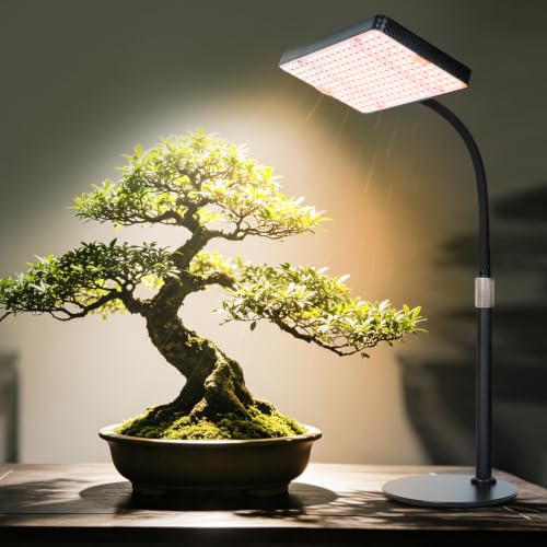 FECiDA Bonsai Grow Light, Table Grow Lights for Indoor Plants Collection - size: 1-Head Switch