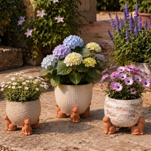 LemonRoad 12 Set Cat Pot Feet for Outdoor Planters, Terra Cotta Cement - size: Cat