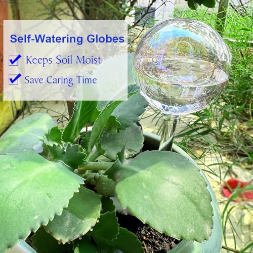 Glass Plant Watering Device, Planter Self Watering Globes for Home Potting - color: R.Clear Glass 6pcs