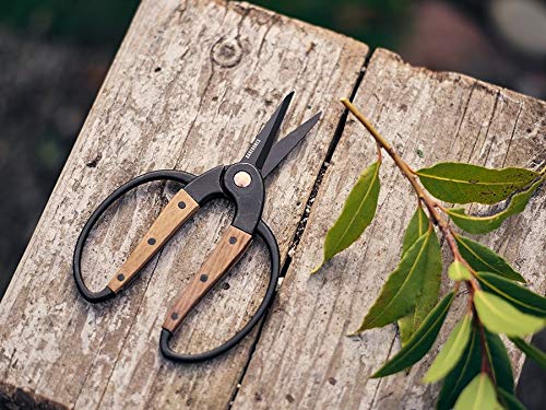 Barebones Garden Scissors - Walnut Scissors - Garden Supplies and Indoor Plant Accessories - Plant Shears with Wide Handles - Comfortable Fit Trimming Shears (Small) - color: Small Garden Scissors