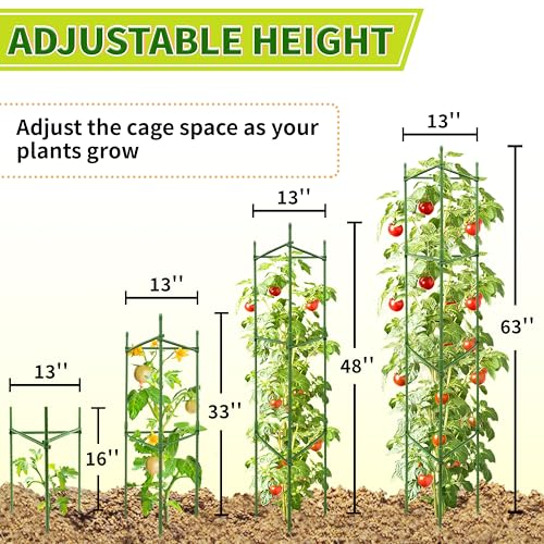 63-Inch Heavy Duty Tomato Cages, 6-Pack Extra Tall Metal Tomato Trellis, Steel Tube Plant Cage for Indeterminate Tomatoes, Cucumbers, Pole Beans – Rust-Proof Coated - color: 6-Pack, size: 63 inch