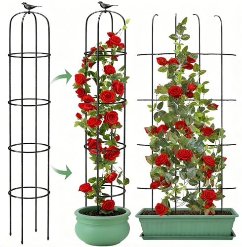 6.2ft Garden Obelisk Trellis for Climbing Plants Rustproof Metal Pipe with Heavy Duty Plastic Coated Garden Outdoor Indoor Potted Plant Support for Clematis Vine Jasmine Support - size: 6.2 feet