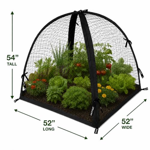 NuVue Products 32109 Pop-Up Garden Netting Pest Guard Cover with Ground Spikes, Mesh Plant Cover Tent for Pest and Animal Control, Black, 52" x 52" x 54" - color: Black, size: 52" x 52" x 54"