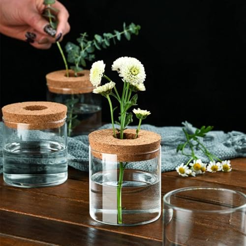 Glass Plant Propagation Station with Cork Lid, Clear Borosilicate Hydroponic Vase for Rooting Cuttings, Minimalist Desktop Terrarium Planter for Home Office Decor(1 Pack)
