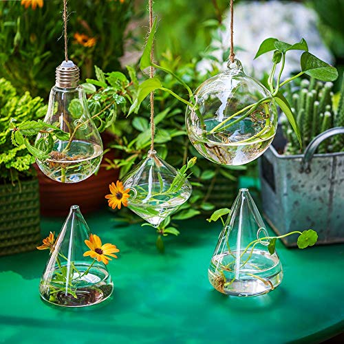 Glasseam Hanging Plant Propagation Station: 5Pcs Small Glass Terrarium Jars