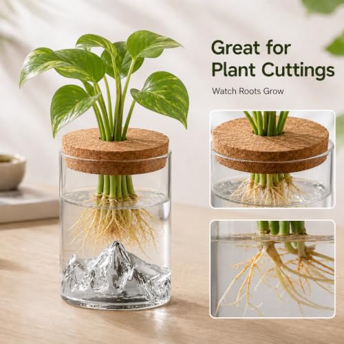 Hydroponic Plant Propagation Station, Glass Water Vases with 3D Mountain Base and Cork Lid, Minimalist Desktop Terrarium for Cuttings and Home Office Decor - size: F-Glass Mountain-Viewing Style
