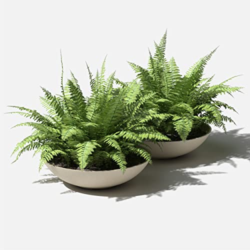 Veradek Mason Series Lane Bowl - Large Outdoor Bowl Planter - color: Sand, size: 6"H x 24"DIA 2PK