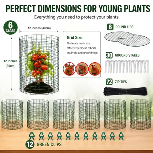 Plant Protectors from Animals 12 x 12 in Metal Chicken Wire Cloche Plant Cages for Outdoor Plants, Garden Fencing Animal Barrier with Detachable Dome Lid, Stakes & Zip Ties (6 Pcs) - color: 6 Pcs
