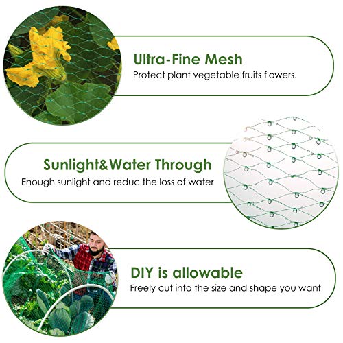 Ruolan Bird Netting for Garden Protect Vegetable Plants and Fruit Trees13X82Ft,Plastic Trellis Netting for Birds, Deer,Squirrels and Other Animals - size: 13X82
