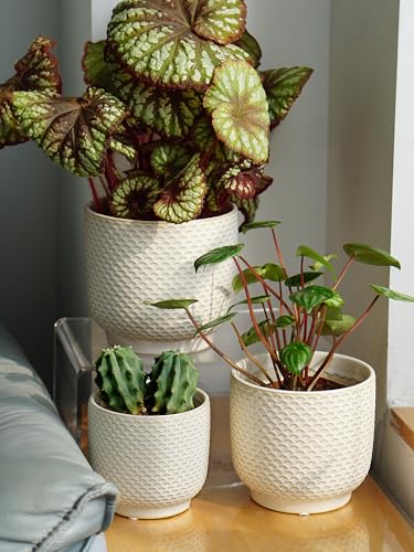 4 + 5 + 6 Inch Ceramic Pots for Indoor Plants, Succulents Plant Pots, Orchid Flower Pot with Drainage Hole, Modern Clay Stoneware Planters, Set of 3 (Milk White, 4+5+6 Inch) - color: Milk White