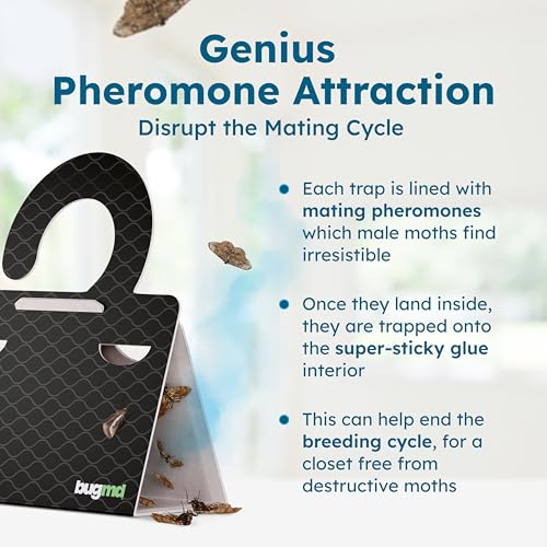 BugMD Clothes & Pantry Moth Traps with Sticky Glue - color: Black, size: 3 Pack - 18 Traps