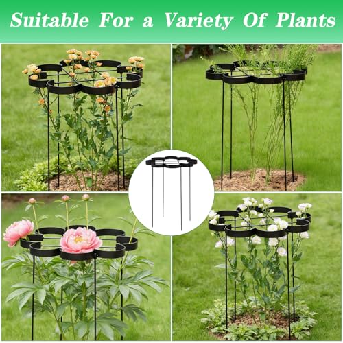 25" Peony Cages and Supports Elegant Modern Flower Support Stakes - color: Black