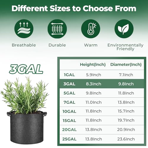 T4U Grow Bags 3 Gallon 10 Pack, Fabric Pots for Outdoor Garden Plants - size: 3 Gallon-10 Packs