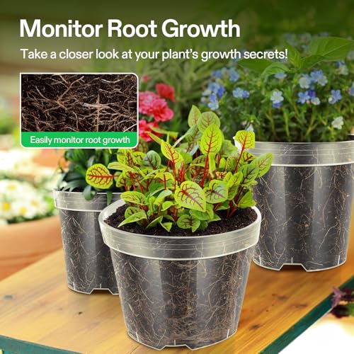 VIVOSUN 80 Packs 3/4/5/6 Inch Clear Nursery Pots with Drainage Holes, Reinforced Plastic Seedling Pots for Plants, Flowers, Cuttings, and Succulents, 40 pcs Plant Labels - size: 3/4/5/6 Inch (Pack of 2)