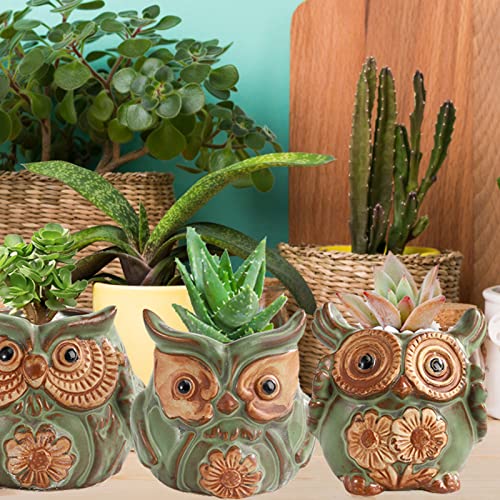 TOPZEA 10 Pack Succulent Planter Pots with Drainage Hole, Cute Owl Ceramic Small Planters Animal Tiny Flower Plant Pots Containers Indoor for Cactus, Herb, Home, Garden, Windowsill, Coffee Table Decor