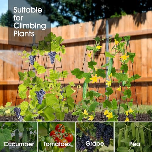 RIFNY Cucumber Trellis for Raised Bed, Garden Trellis 16.5 x 40 Inch, Black - color: Black, size: 16.5 x 40 Inch