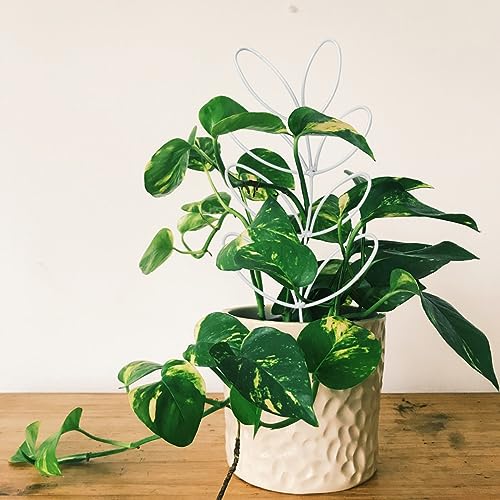 2Pack Indoor Plant Trellis Metal Wire Garden Trellis ,Small Climbing Leaf Shape Trellis for Garden Potted Plant Houseplant (Whiter) - color: Whiter