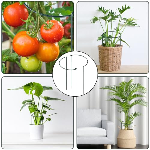 12 Pack 24 Inch Tall Plant Support Stakes, 10" W x 24" H Half Round Peony Cages and Support, Heavy Duty Green Plant Cage Ring Support for Indoor and Outdoor Peony Rose Tomato Hydrangea Flower - size: 10" Wide x 24" High