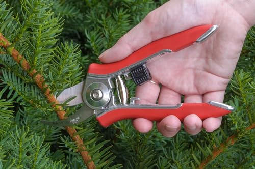 Dramm ColorPoint Stainless Steel Compact Garden Pruning Shears, Hand Pruner, Garden Clippers, with Heavy Duty Blade and Easy grip Handle, Blue - color: Blue, style: Classic