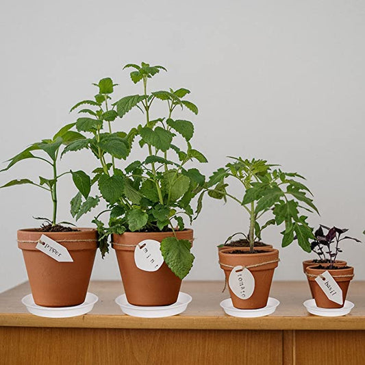 6 Pack Plastic White Plant Saucers for Potted Plants, 4 5 6 7 8 9 10 11 12 14 inch, Flower Pot Water Trays for Indoor Outdoor Ceramic or Plastic, Plant Containers Indoor (6", Creamy White) - color: Creamy White, size: 6"