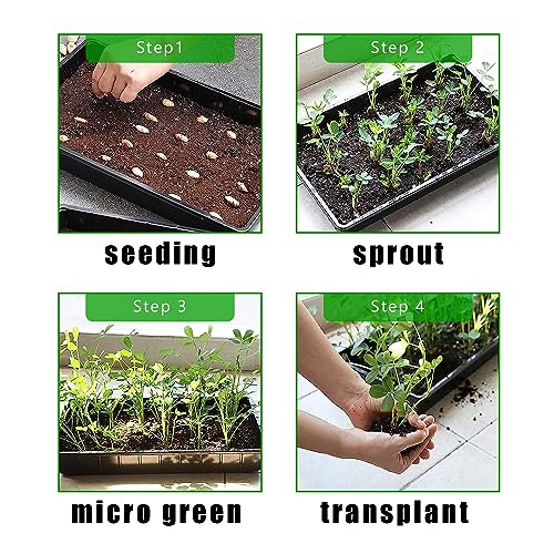 RooTrimmer 20 Pack 1020 Trays, No Drain Holes, 20" x 10", Extra Thick Heavy Duty Seed Starting Trays -Reusable Propagation Flats for Microgreens, Seedlings, Plant Germination, Fodder and Transplant - size: 1020 - 20 Pack Without Holes
