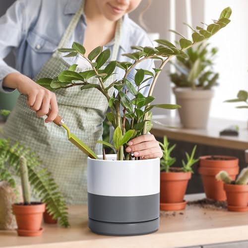 D'vine Dev 2-Pack Ceramic Pots with Saucers, White/Grey, 6.5 in, 94-V-C-6 - color: White/Speckled Grey, size: 6 Inch