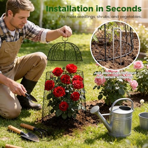 6 Pack XL Metal Garden Cloches for Plants, 17" Tall Chicken Wire Cloches - color: Black - 6 Pack