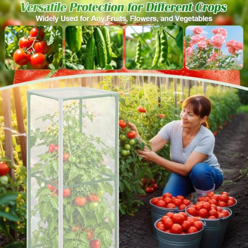 ROADPLUM 2 Pack Square Tomato Cages with 2 Plant Covers, 48" Heavy Duty Adjustable Tomato Cage for Garden, Plastic Coated Steel Pipe Stakes Trellis Plant Cages for Vegetable, Fruit, Climbing Plants - size: 2 PACK with Plant Covers