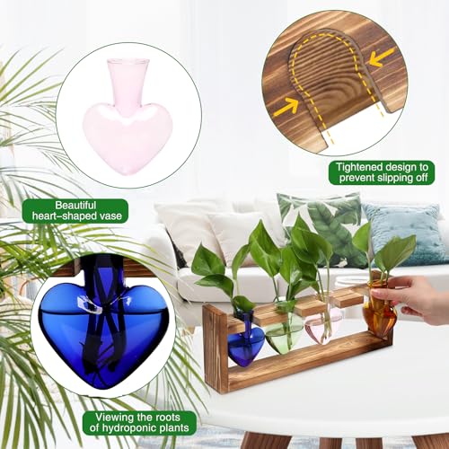 Plant Propagation Stations Heart Plant Terrarium Kit - color: Color02