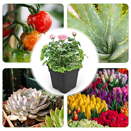 HOSTIC 1.4 Gallon Square Nursery Pots Flexible Plastic Pots for Plants Gallon Pot with Drainage Holes 10 Pcs - color: Black, size: 2 Gallon-10Pcs