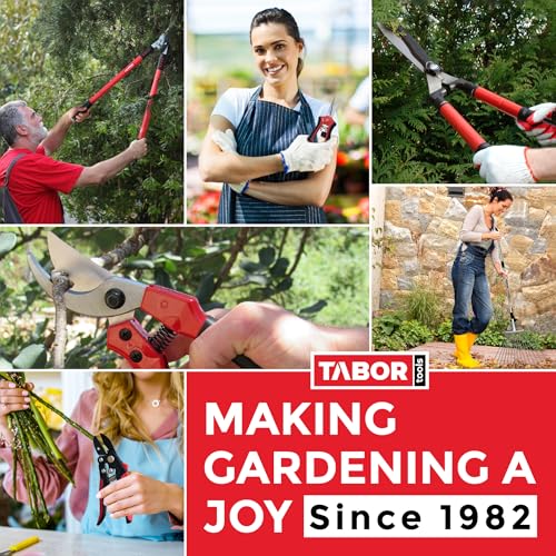 TABOR TOOLS GG22A Extendable Anvil Lopper with Compound Action, 27-40 Inch Telescopic Tree Trimmer & Branch Cutter, Long Reach Tree Pruner with 1 3/4 Inch Cut Capacity, Chops Thick Dry Branches w Ease - style: GG22A 27"-40" Extendable Anvil Lopper with le