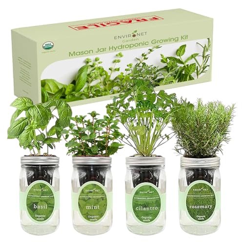 Hydroponic Herb Growing Kit Set, Self-Watering Mason Jar Herb Garden Starter Kit Indoor, Grow 4 Kinds of Herbs from Seeds (Basil, Mint, Cilantro & Rosemary)