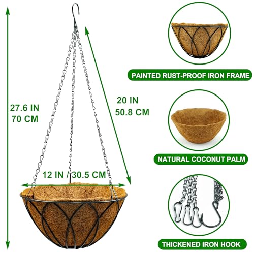 HOSY 2-Pack 12-in Hanging Metal Planter Baskets with Coconut Fibre Liner - color: Petals - Black