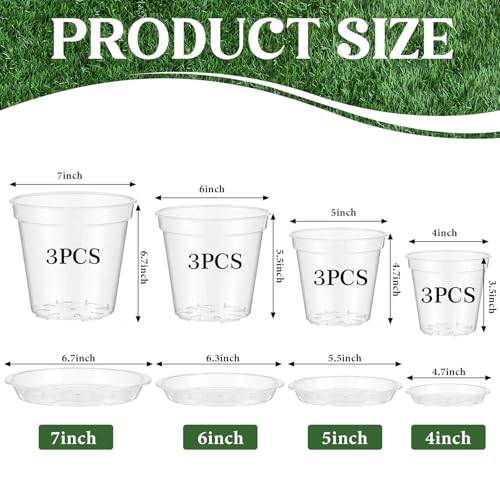 Baderke 12 Pack Clear Nursery Pot,Multiple Sizes - size: Multiple Sizes
