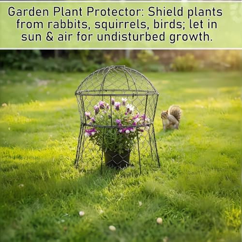 Garden Cloches for Plants 2 Pack Metal Plant Protectors from Animals Chicken Wire Cloche Updated Plant Cages for Outdoor Plants Vegetables Seedlings 13" D x 14" H - style: 2 Pack