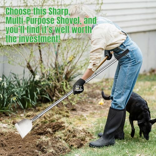 Floor Scraper Long Handle, Paint Wallpaper Garden Snow Ice Shovel